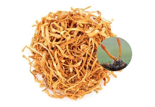 SugaNorm obsahuje cordyceps