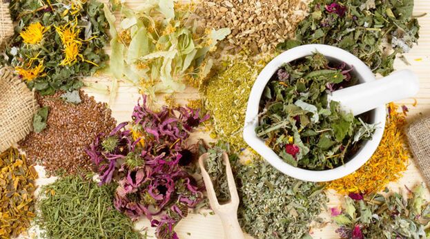 Léčivé rostliny, které pomáhají v boji proti cukrovce